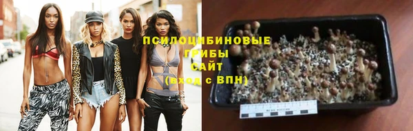 дурь Бугульма
