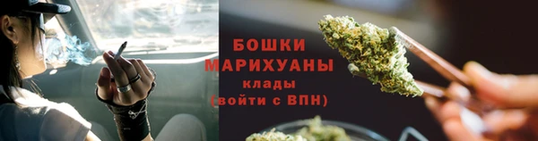 твердый Богородск
