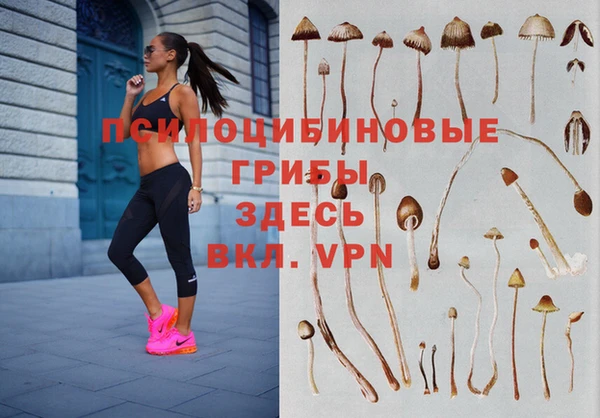 винт Богданович