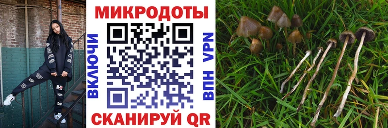 Псилоцибиновые грибы прущие грибы  где можно купить   площадка как зайти  Каменка 